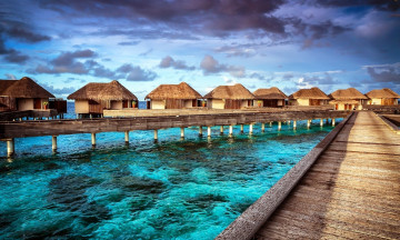 Картинка природа тропики море дома