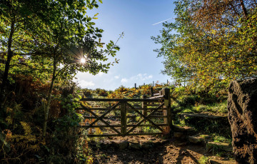 Картинка природа дороги тракт