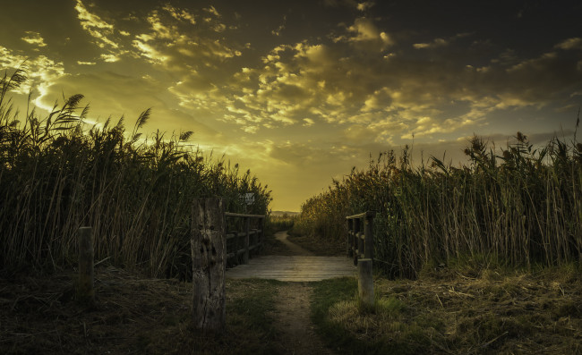 Обои картинки фото природа, дороги, тракт