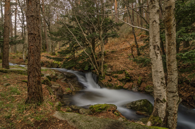 Обои картинки фото природа, реки, озера, река, лес