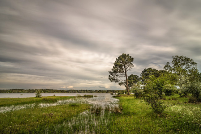 Обои картинки фото природа, реки, озера, река, лес