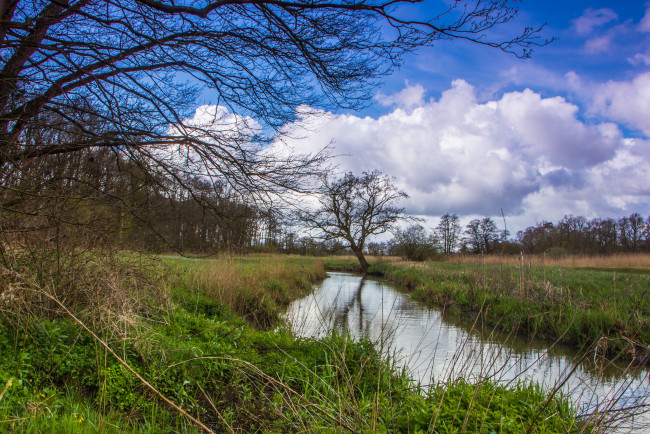 Обои картинки фото природа, реки, озера, река, лес