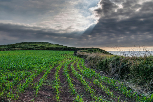 Обои картинки фото природа, побережье, море, берег