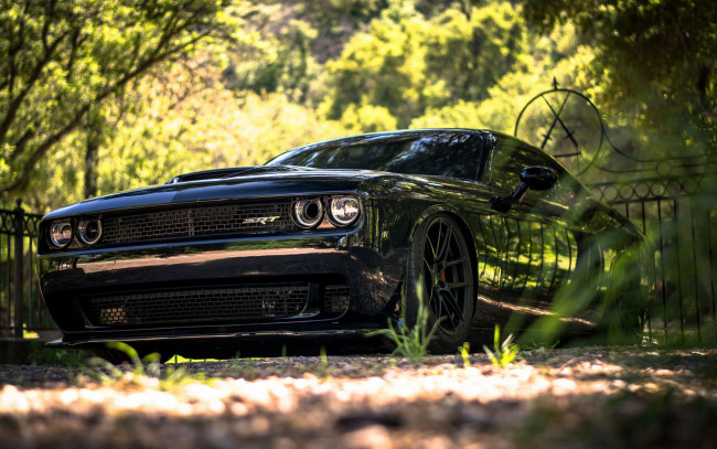 Обои картинки фото автомобили, dodge