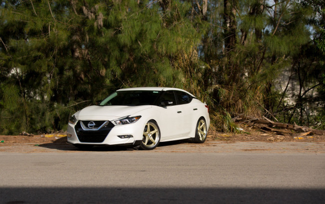 Обои картинки фото автомобили, nissan, datsun