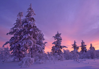 Картинка природа зима деревья закат снег
