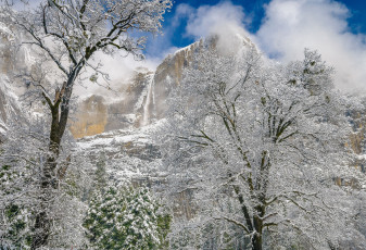 Картинка природа зима простор