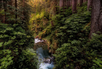 Картинка природа реки озера простор