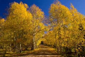 Картинка природа дороги простор