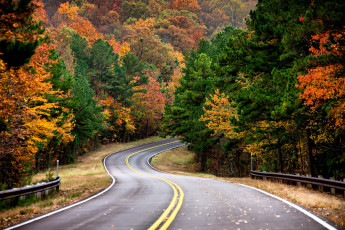 Картинка природа дороги простор