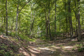 Картинка природа дороги простор