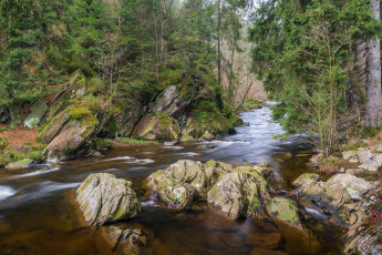 Картинка природа реки озера простор