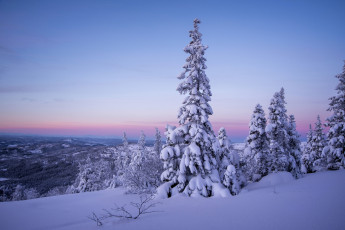 Картинка природа зима простор