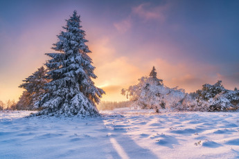 Картинка природа зима простор