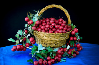 Картинка еда натюрморт снедь