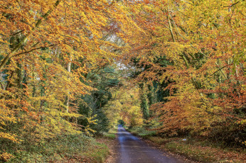 Картинка природа дороги простор