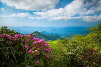 Картинка природа горы простор