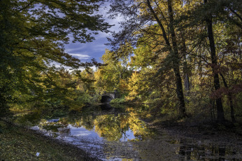 Картинка природа реки озера простор