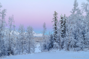 Картинка природа зима простор