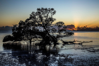 Картинка природа реки озера простор