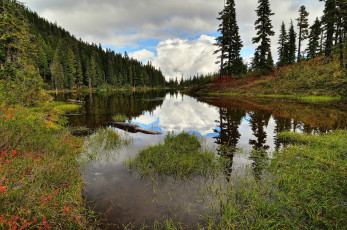 Картинка природа реки озера простор