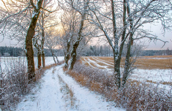 Картинка природа зима простор