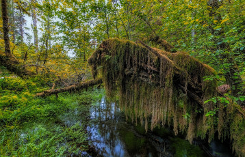 Картинка природа реки озера простор