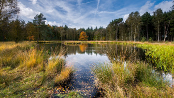 Картинка природа реки озера простор