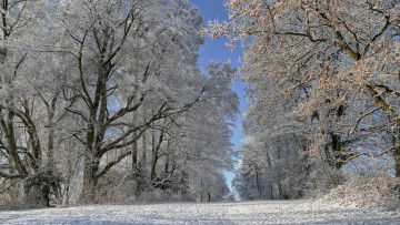 Картинка природа зима простор