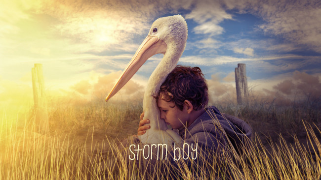 Обои картинки фото storm boy, кино фильмы, -unknown , другое, storm, boy