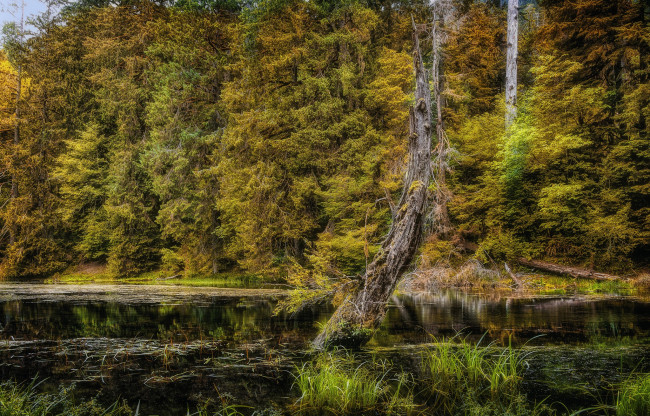 Обои картинки фото природа, реки, озера, простор