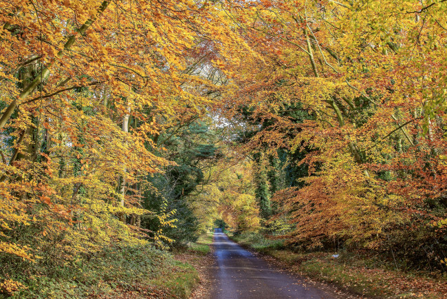 Обои картинки фото природа, дороги, простор