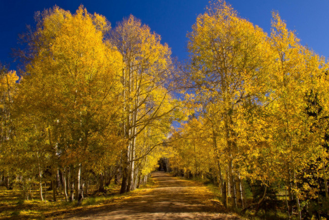 Обои картинки фото природа, дороги, простор