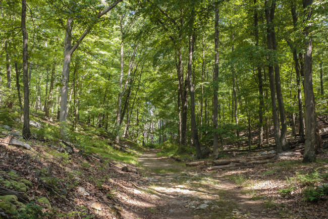 Обои картинки фото природа, дороги, простор