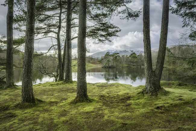 Обои картинки фото природа, реки, озера, простор