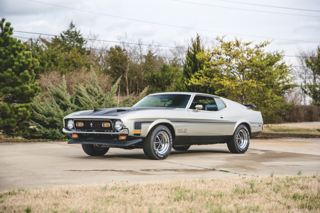 Обои картинки фото автомобили, mustang