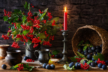 Картинка еда натюрморт слива ягоды