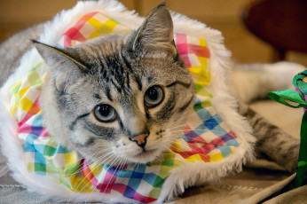 Картинка loki+ сериал+2021+–+2023 кино+фильмы сериал локи фантастика фэнтези боевик том хиддлстон tom hiddleston