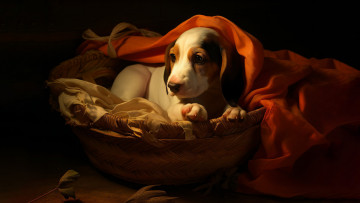 Картинка 3д+графика животные+ animals нейросети графика нейроарт ai art нейронные сети рисунки нейро искусство