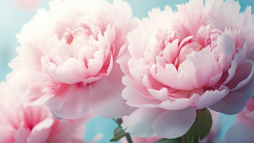 Картинка рис рисованное цветы букет весна пионы ии-арт нейросеть