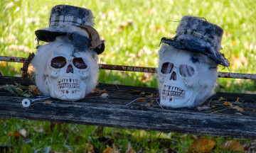 Картинка праздничные хэллоуин