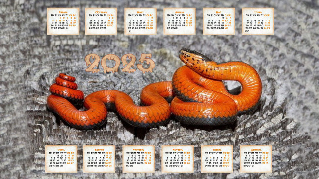 Обои картинки фото календари, животные, год, змеи, 2025
