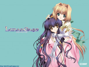 Картинка аниме moonlight lady