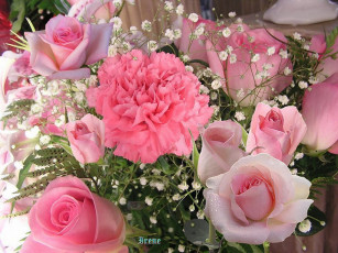 Картинка цветы разные вместе