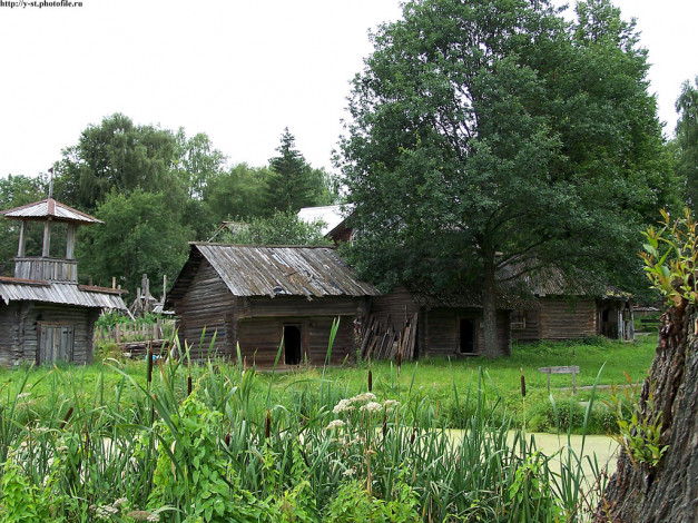 Обои картинки фото 