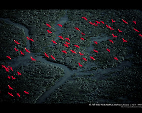 Картинка разное