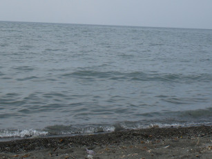 Картинка природа