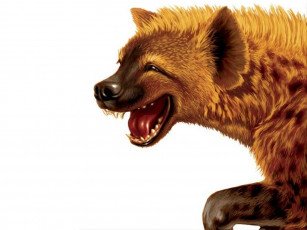 обоя рисованные, животные, гиены