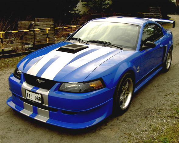 Обои картинки фото автомобили, ford