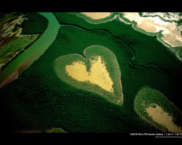 Обои картинки фото разное